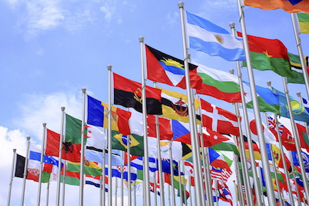 5 Reasons to Study International Relations and Diplomacy photo