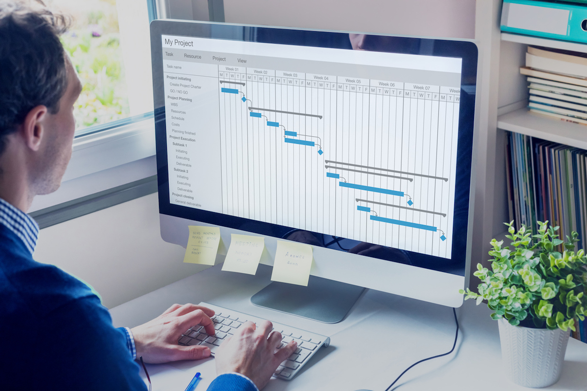 Important stages that direct a project from beginning to end are software project management phases. These stages serve to guarantee timely and effective completion of the project.